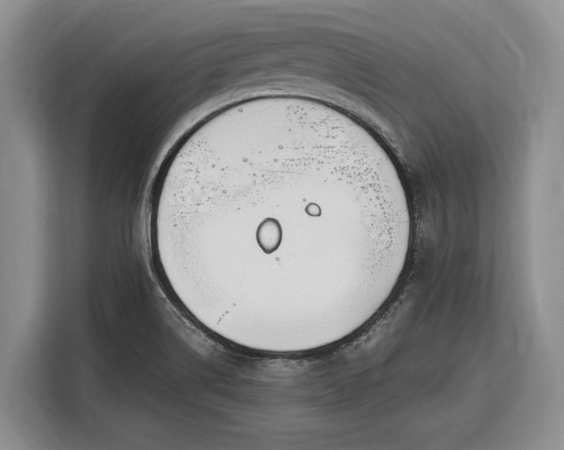 X0000116331514200912091029