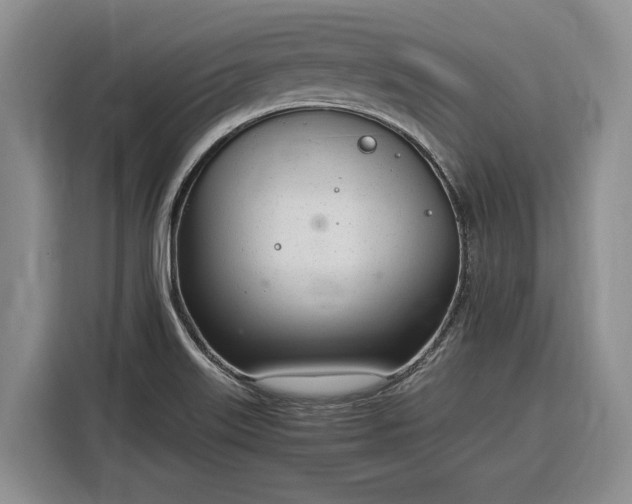 X0000116331515200912091029