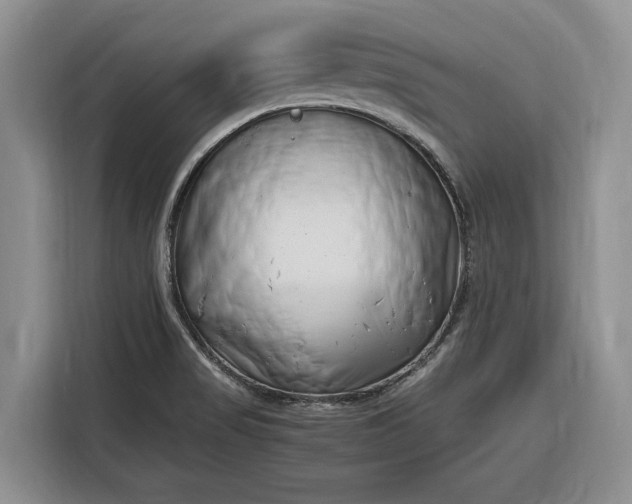 X0000116331517200912091029