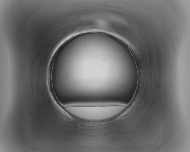 X0000116331518200912091029