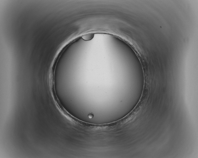X0000116331519200912091029