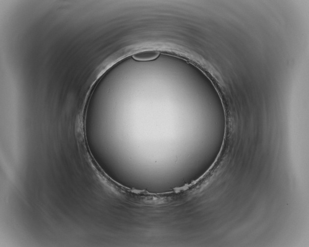 X0000116331521200912091029