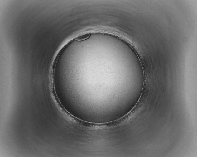 X0000116331522200912091029