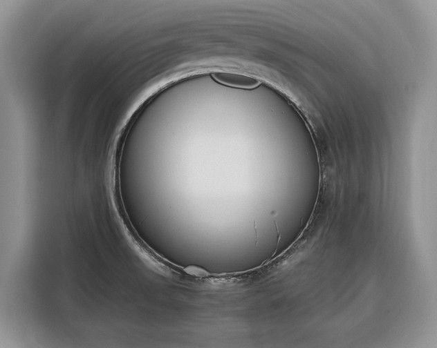 X0000116331523200912091029