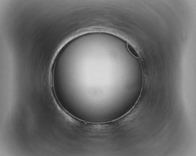 X0000116331527200912091029