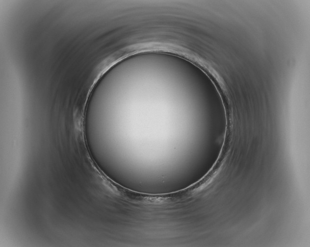 X0000116331529200912091029