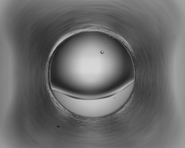 X0000116331530200912091029