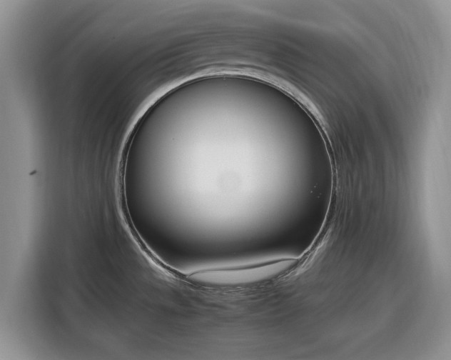 X0000116331533200912091029