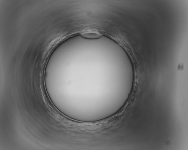 X0000116330001200912151315