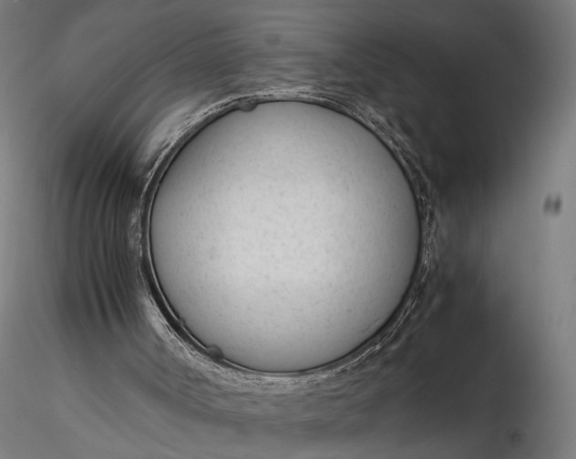 X0000116330002200912151315