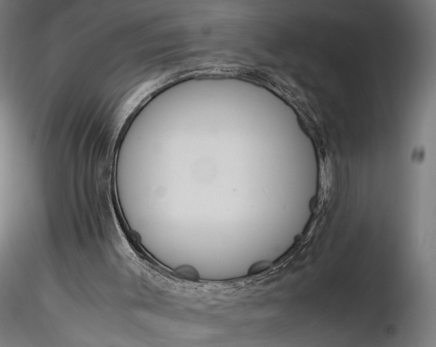 X0000116330003200912151315