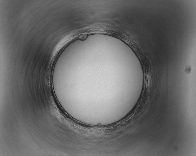 X0000116330004200912151315