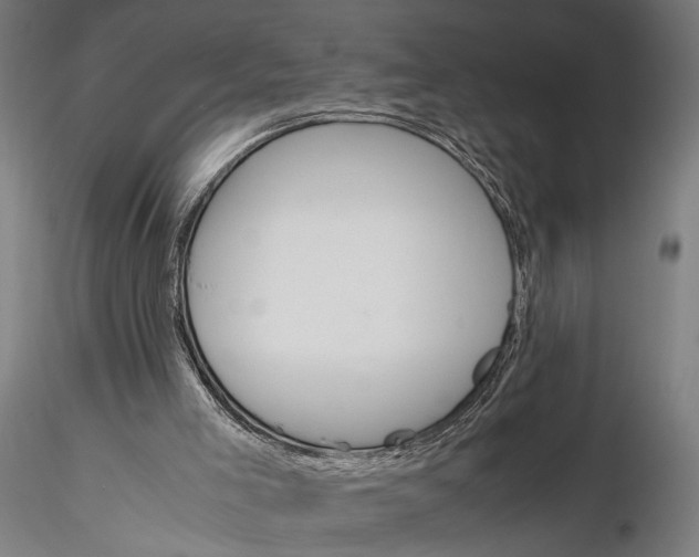 X0000116330005200912151315