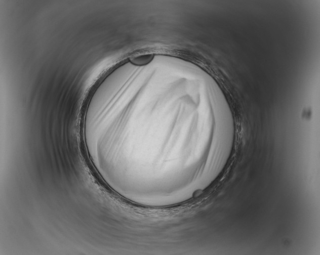 X0000116330006200912151315