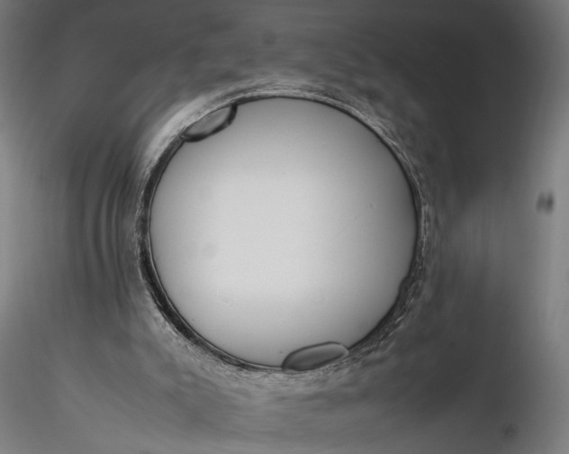 X0000116330007200912151315