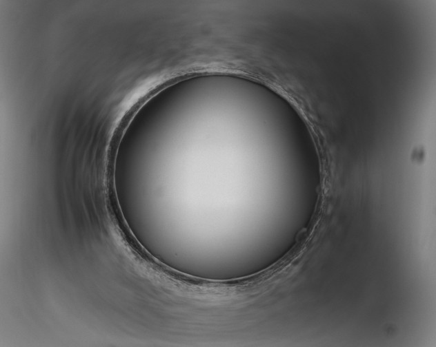 X0000116330008200912151315