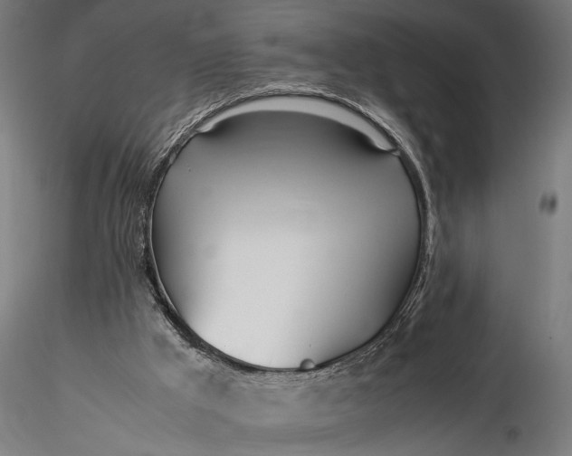 X0000116330009200912151315