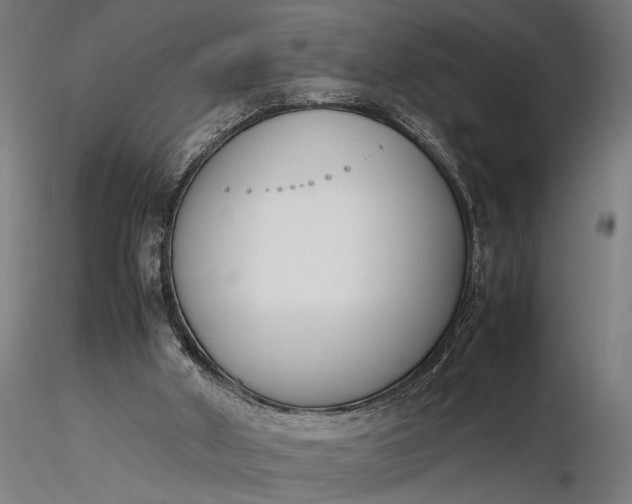 X0000116330010200912151315