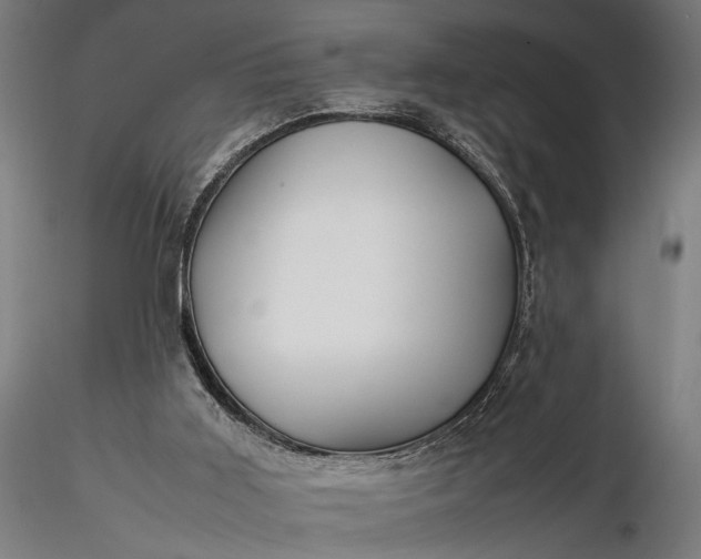 X0000116330011200912151315