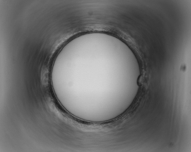 X0000116330012200912151315