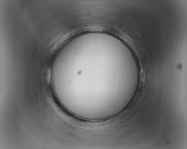 X0000116330013200912151315