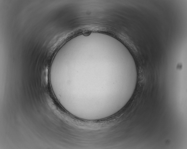 X0000116330014200912151315