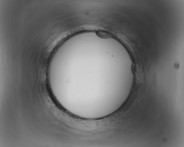 X0000116330015200912151315