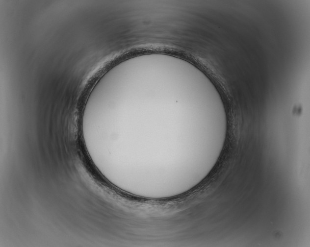 X0000116330016200912151315