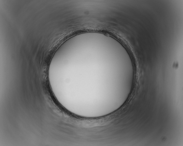 X0000116330017200912151315