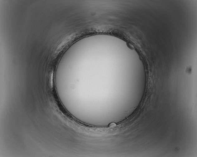 X0000116330019200912151315