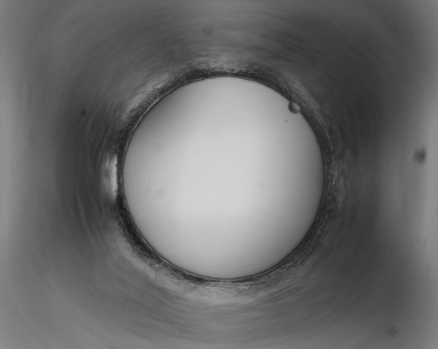 X0000116330020200912151315