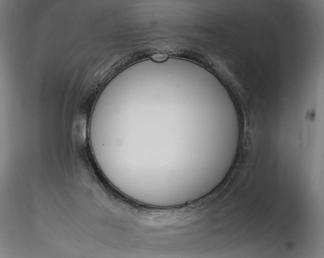 X0000116330021200912151315