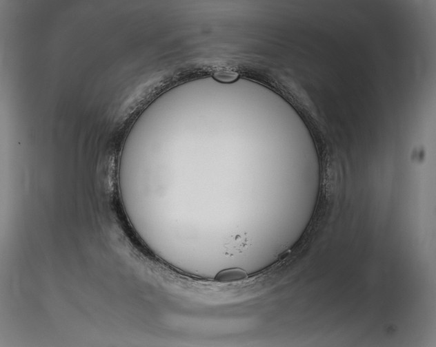 X0000116330023200912151315