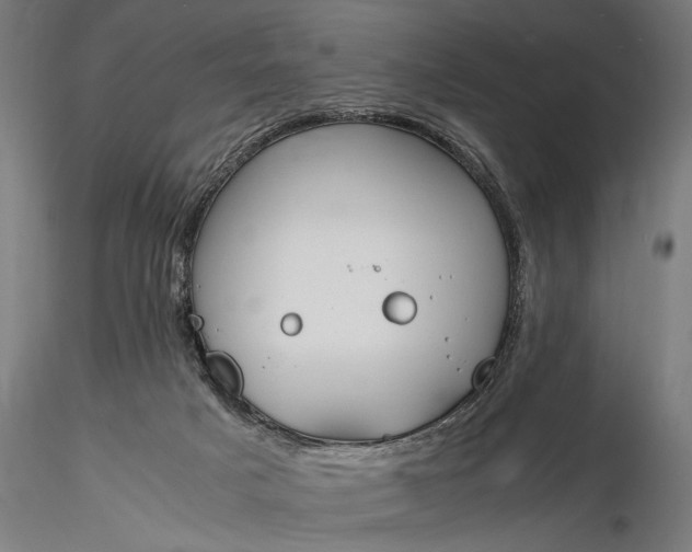 X0000116330025200912151315