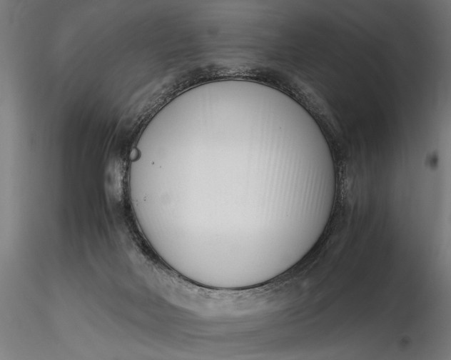 X0000116330026200912151315