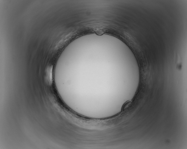 X0000116330028200912151315