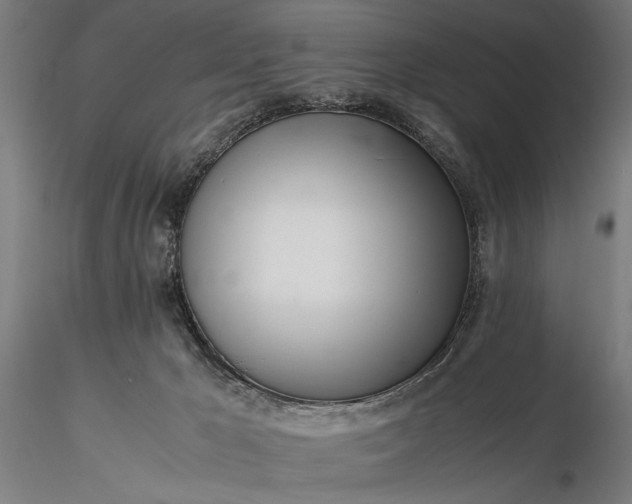 X0000116330029200912151315