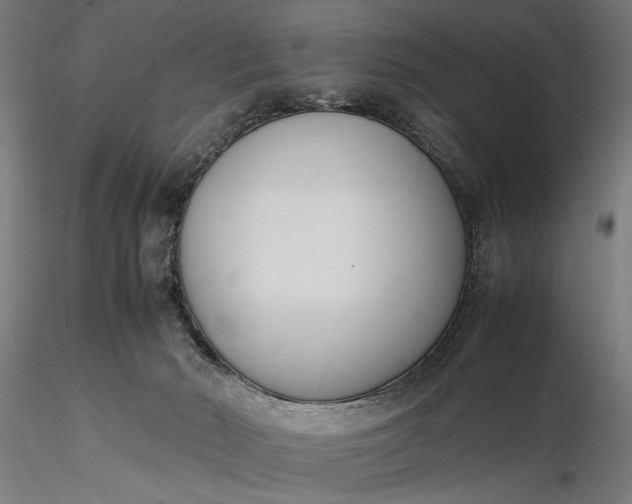 X0000116330030200912151315