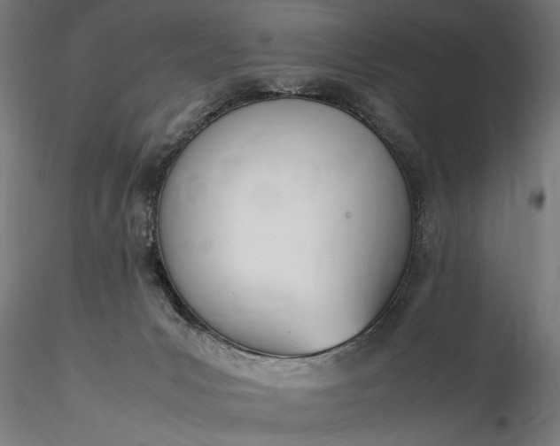 X0000116330031200912151315