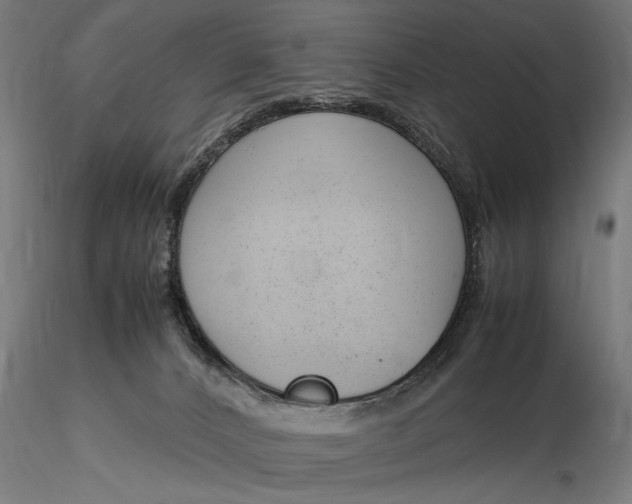 X0000116330032200912151315