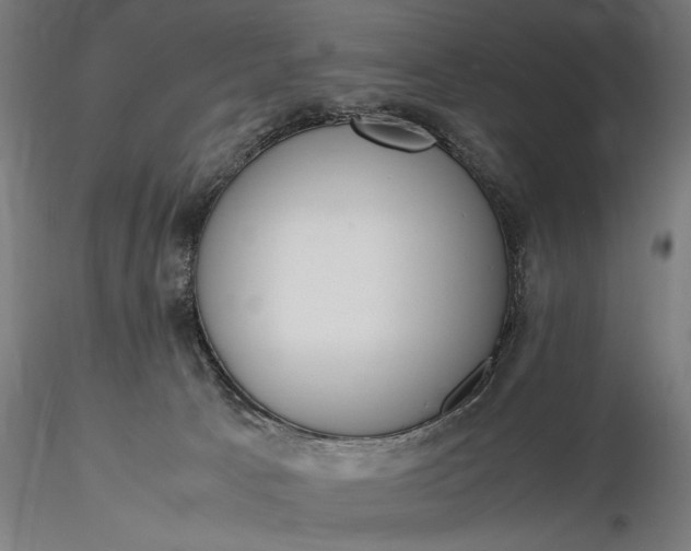 X0000116330033200912151315