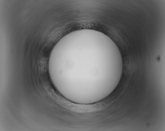 X0000116330034200912151315