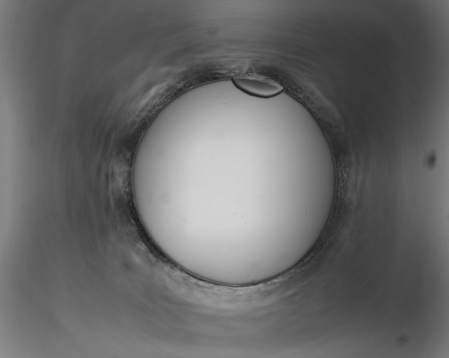 X0000116330035200912151315