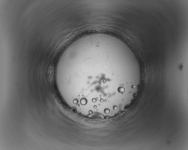 X0000116330036200912151315