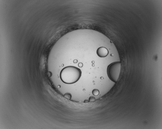 X0000116330038200912151315