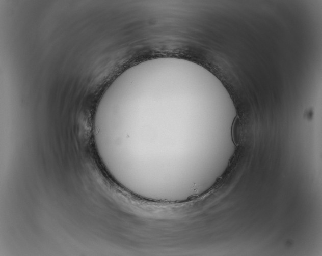 X0000116330040200912151315