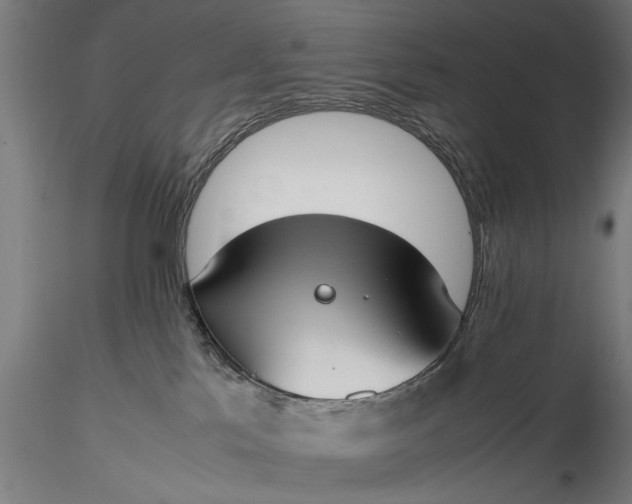 X0000116330041200912151315