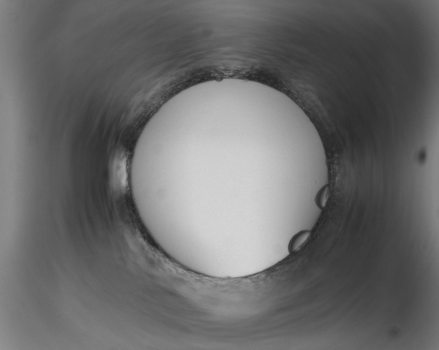 X0000116330042200912151315