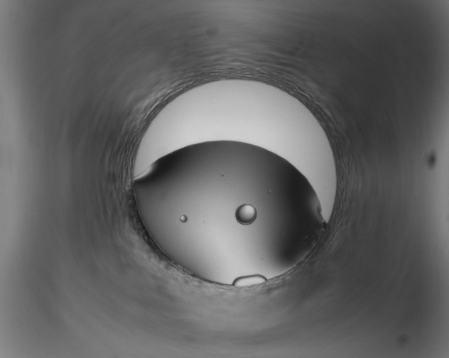 X0000116330043200912151315