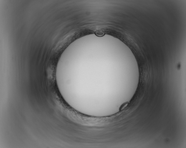 X0000116330044200912151315